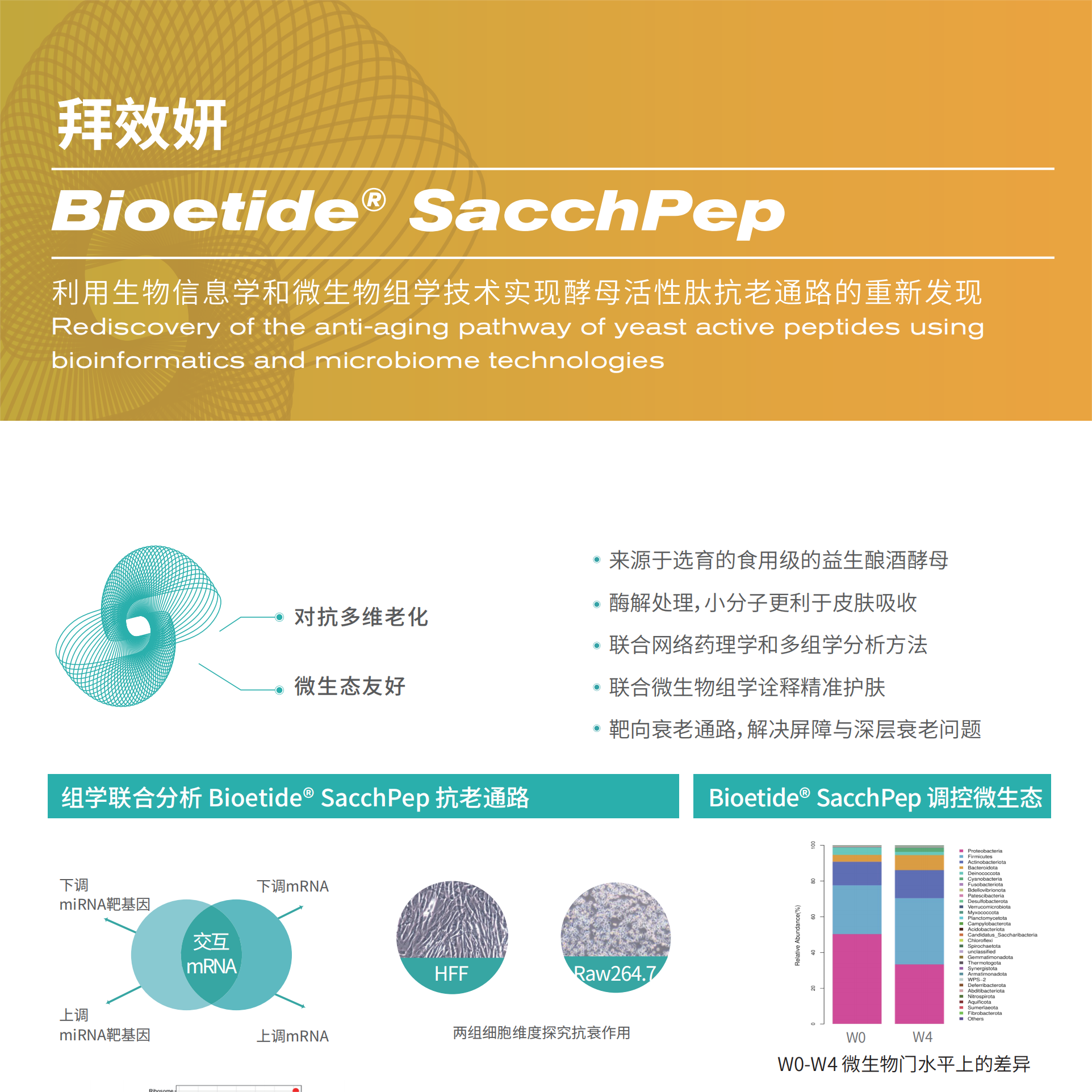 Bioetide SacchPep 拜效妍
