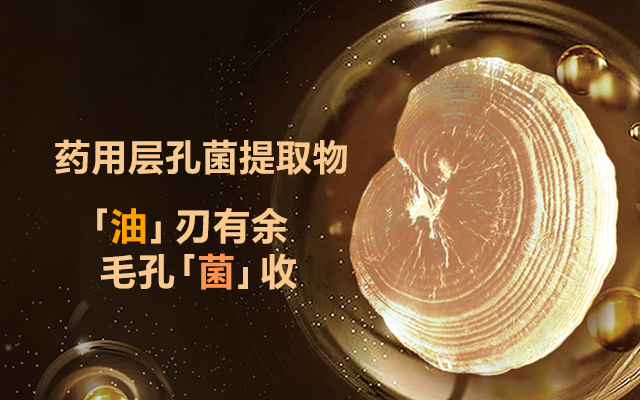 药用层孔菌提取物 SUPER FOE